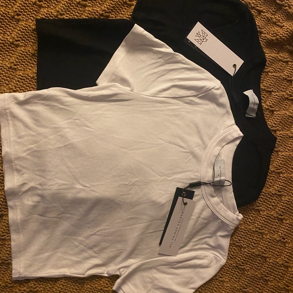 NWT 2 ribbed cropped tees from All Things Golden - Picture 3 of 4